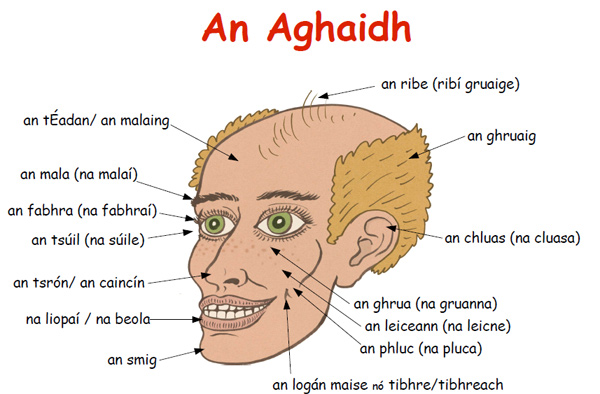 aghaid